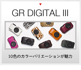 GR Digital III