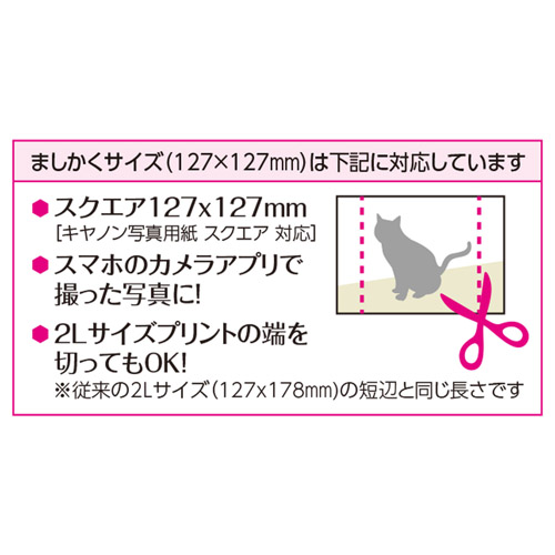 ハクバ フォトフレーム カレフィス127 ましかく（127mm）サイズ ブラウン