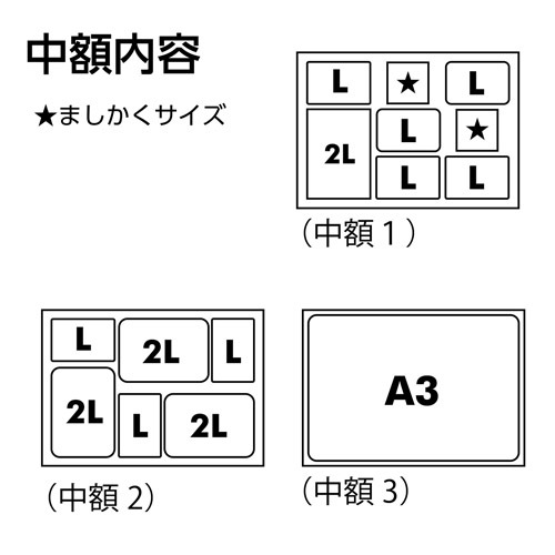 ハクバ リエージュ プレジール A3多面 フォトフレーム ブラウン