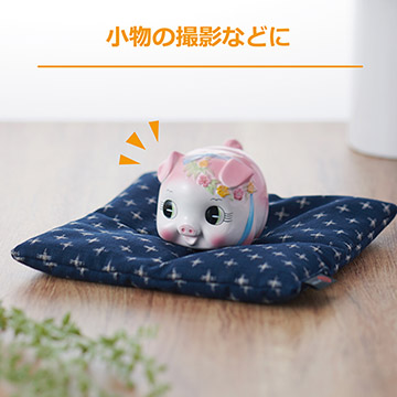 撮影小物として