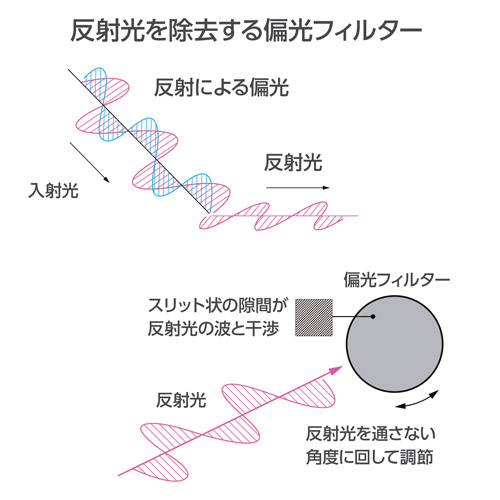 ハクバ S（スクリュー）ワイドサーキュラーPLフィルター