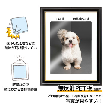 どの角度からも写真が見やすい無反射PETを前面板に採用