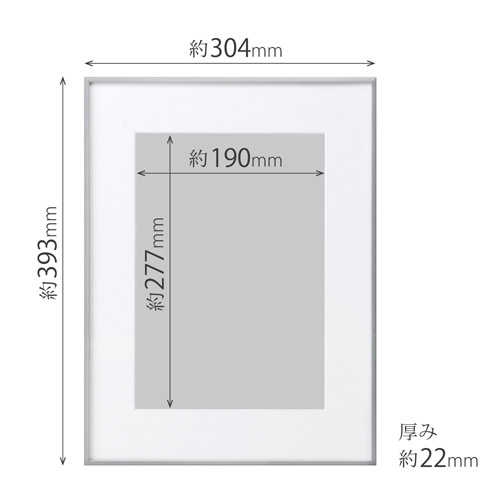 ハクバ アルミ額縁 HFA-03 A4サイズ シルバー