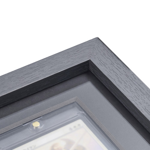 ハクバ トレーディングカード額 TCG-01(マグネットローダー35ptサイズ×9枚用)