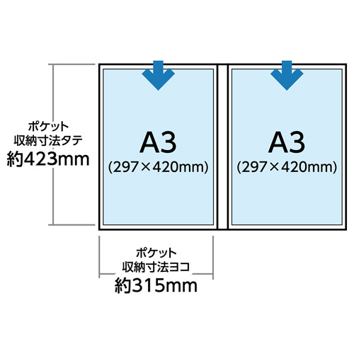 ハクバ プロフェッショナルプリントアルバム V A3サイズ 20枚収納 ブラック