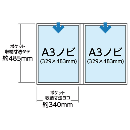ハクバ プロフェッショナルプリントアルバム V A3ノビサイズ 20枚収納 ブラック