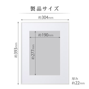 製品サイズ