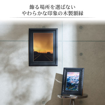 複数額使用イメージ（A4と2Lサイズを使用）