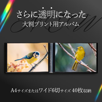 A4サイズ、またはワイド6切サイズの写真を40枚収納