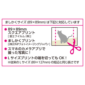 Pポケットアルバム NP 89 ましかく（89mm）