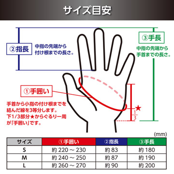 サイズ目安