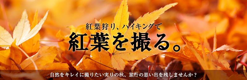 紅葉狩り、ハイキングで紅葉を撮る。自然をキレイに撮りたい実りの秋、旅行の思い出を残しませんか?