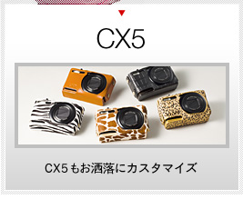 CX5 - リコーカメラケース[RICOH CAMERA SUIT] - ハクバ写真産業株式会社