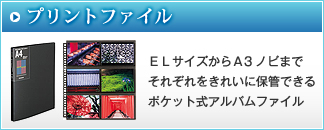 プリントファイル：ＥＬサイズからＡ3ノビまでそれぞれをきれいに保管できるポケット式アルバムファイル