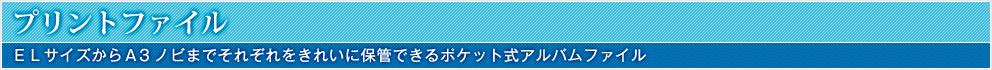 プリントファイル：ＥＬサイズからＡ3ノビまでそれぞれをきれいに保管できるポケット式アルバムファイル