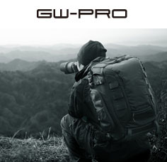 GW-PRO