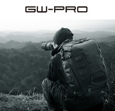 GW-PRO