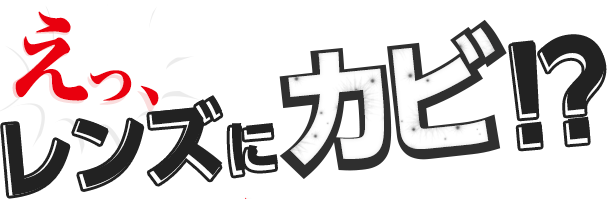 梅雨入りする前にできる防湿・防カビ対策とは？